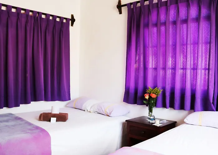 San Ignacio Hotel