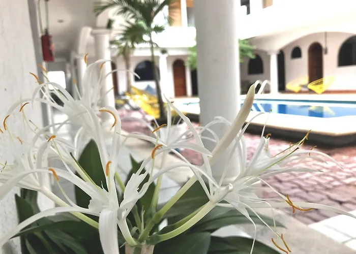 San Ignacio Hotel