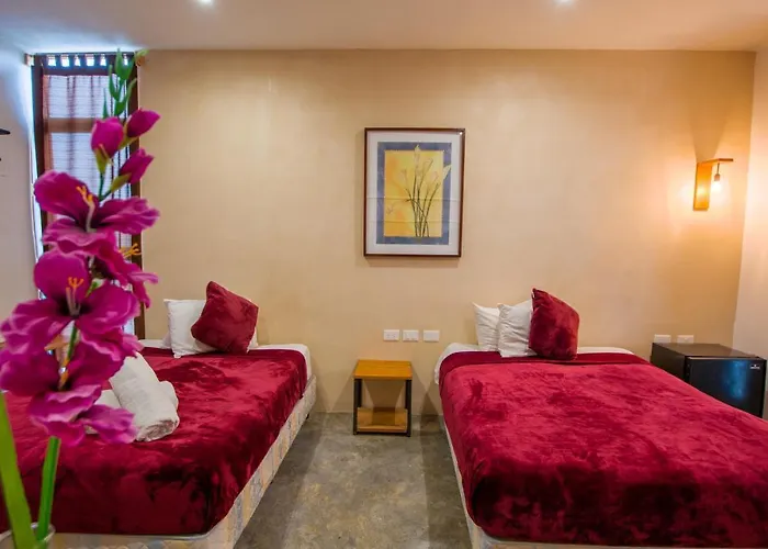 Hotel San Ignacio Playa del Carmen